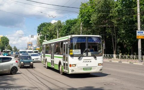 187 автобус спб