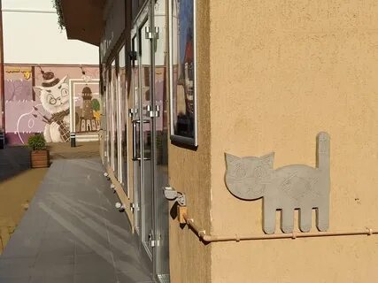Зеленоградск коты
