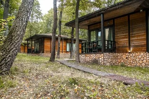 Форест отдых подмосковье