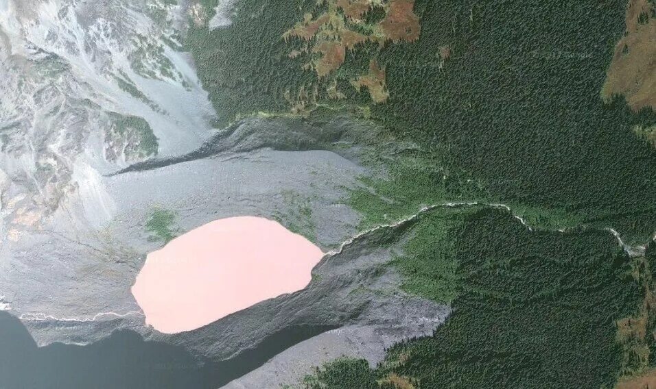 Rose lake. Pink lake (canada). пинк озеро озеро канада. масазыргёль – озеро. dusty rose lake.