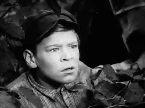 Васек трубачев сражается. Отряд трубачева сражается (1957. фильм отряд трубачева сражается. отряд трубачёва сражается фильм 1957. отряд трубачёва сражается актеры.