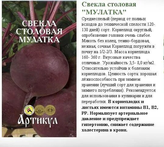Свекла лучший сорт отзывы. Свёкла мулатка характеристика и описание сорта. свекла столовая детройт описание сорта. свекла столовая эфиопка. свекла эфиопка описание.