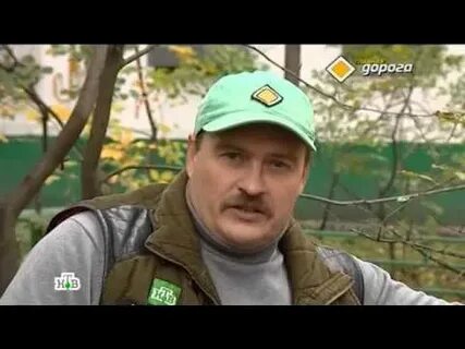 Участники главной дороги