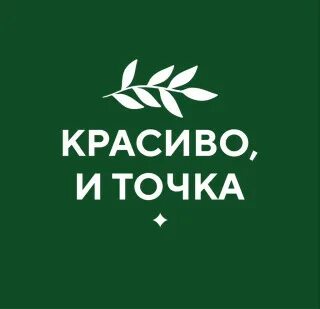 Точка кострома