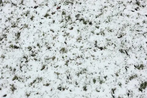 Snow grind