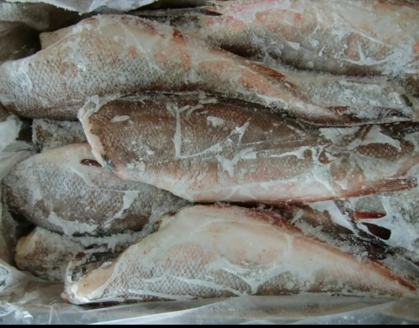 рыба оптом нижний. рыба биржа. перевозка замороженной рыбы. рыба на базаре. нерка пбг 2 сорт.