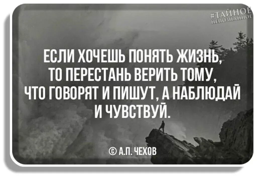 Почувствуй цитаты
