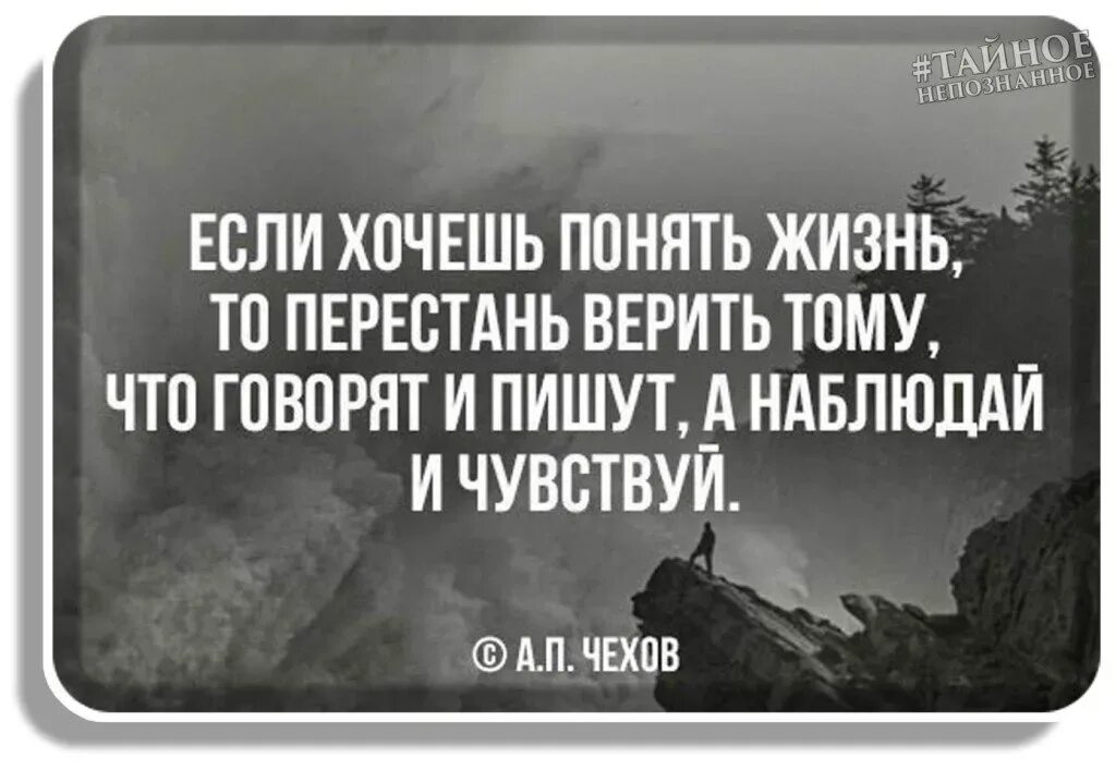 Считаю себя бесполезной. Мудрые цитаты. Если хочешь понять жизнь то. Люди верят в то что им хочется. Верить цитаты.