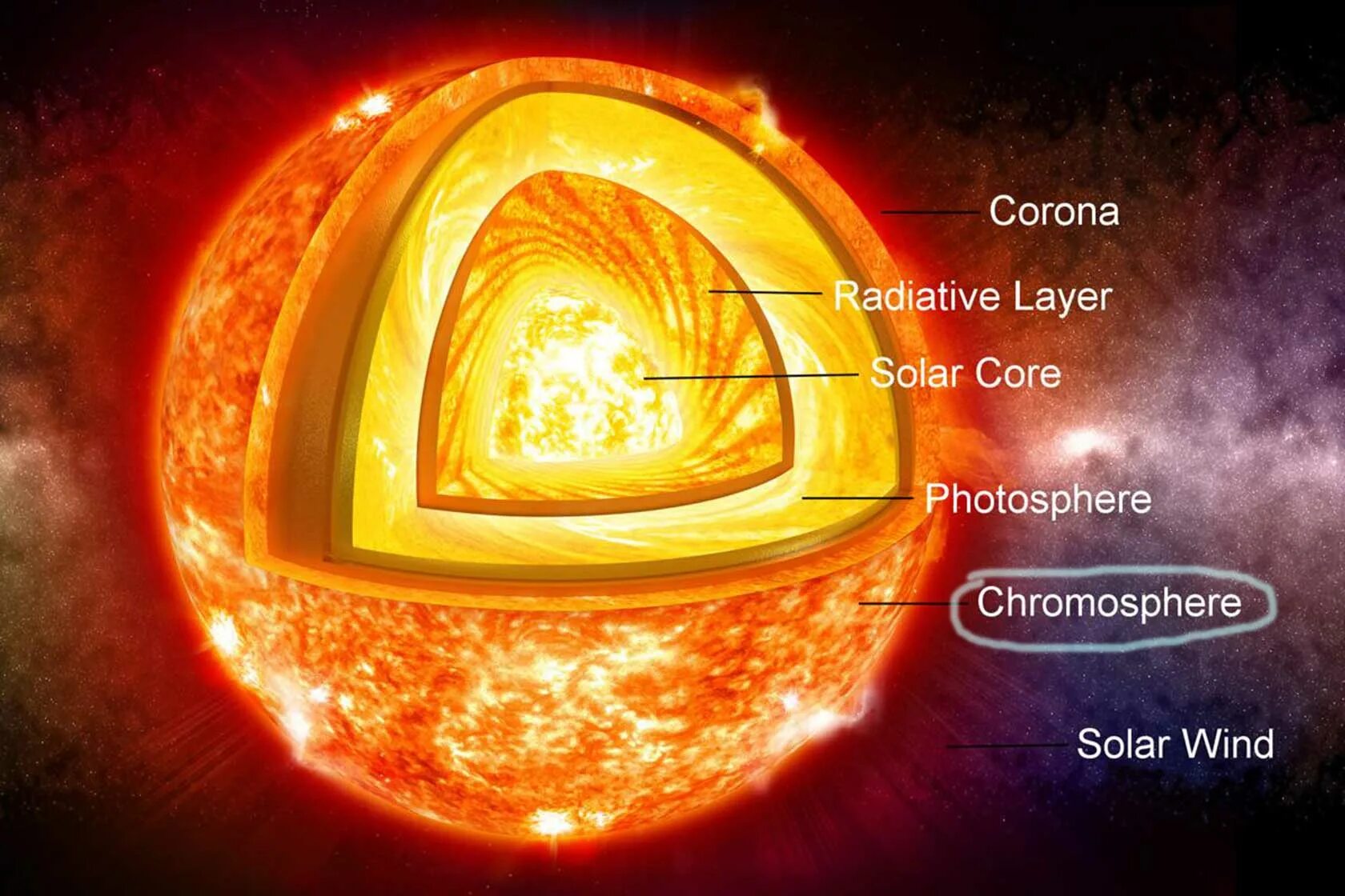 Строение звезды солнца. Строение солнца солнечное ядро. Внутреннее строение солнца ядро. Солнце в разрезе. Ядро звезды.