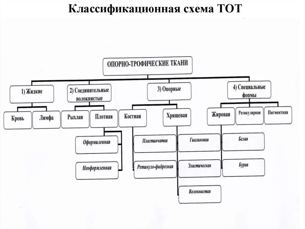 Объедините следующие понятия в классификационную схему