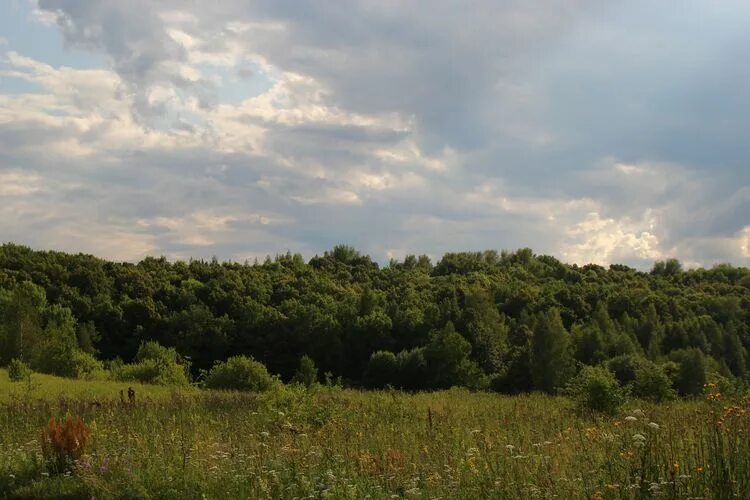 Лучинник большое болдино. Лучинник большое болдино. Лучинник большое болдино. Лучинник большое болдино родник. Лучинник большое болдино.