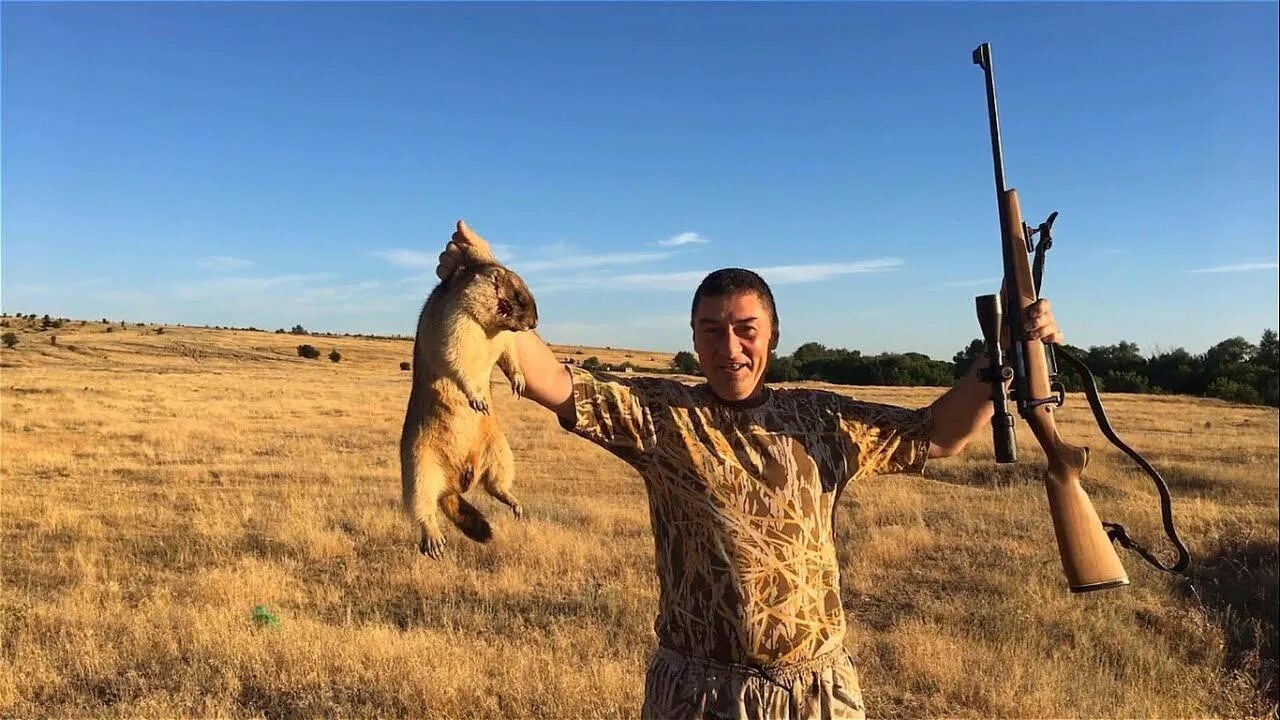 Охота на байбаков. Охота на байбаков. Сурок байбак сроки охоты. Сурок байбак сроки охоты. Охота на байбаков.