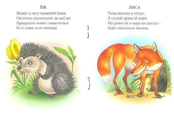 Стихи о животных для малышей. Стихи о диких животных для детей. Стихи про животных для детей. Стихи детям про диких животных. Детские стихи про животных.