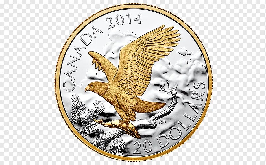 Орел монеты как называется. Орел на монете. Золотая монета с орлом. Орел на рублевых монетах. Монета канадская с орлом.