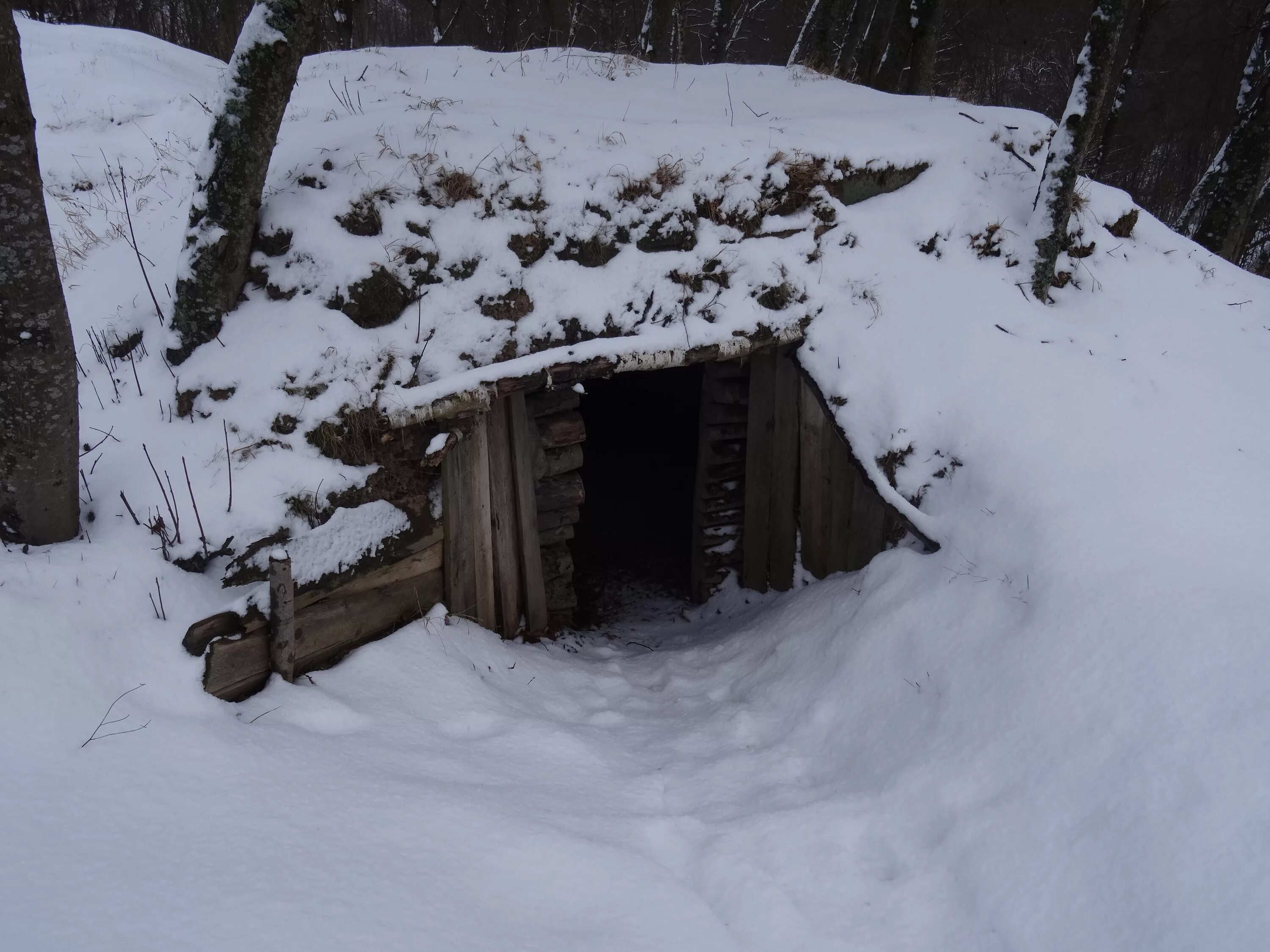 Землянка блиндаж. Землянка военная вов. Окопы в карелии. Блиндаж внутри. Партизанская деревня землянка.