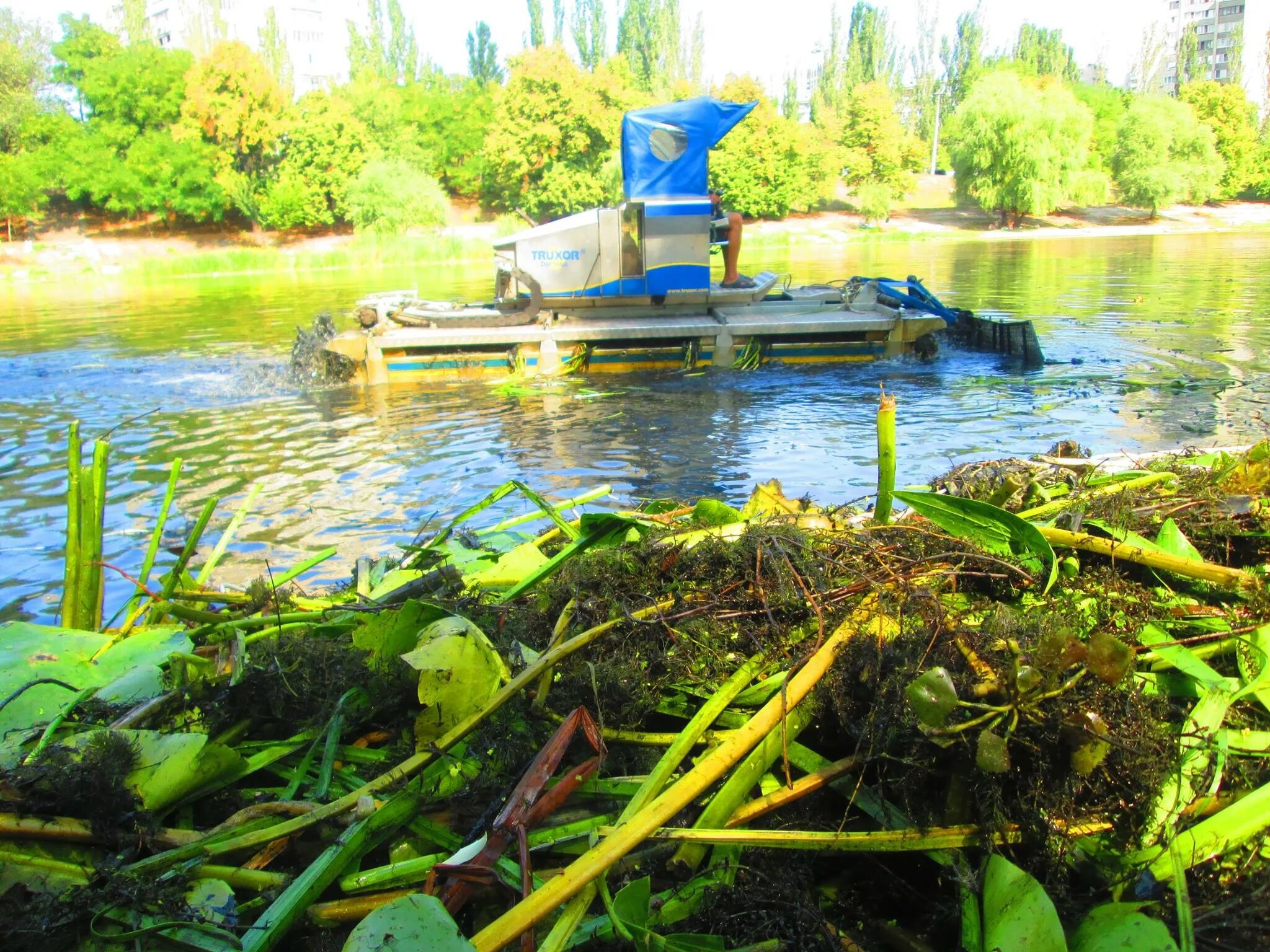 Озеро земснаряд куровское. Пруды очистка рек. Пруды очистка рек. Очистка водоемов. Очистка пруда от водорослей.