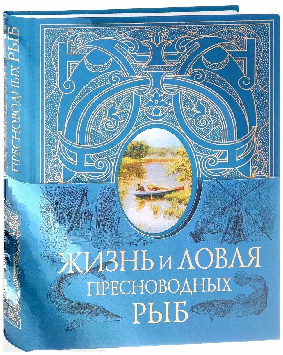 Жизнь пресноводных рыб сабанеев. Сабанеев ловля пресноводных рыб.