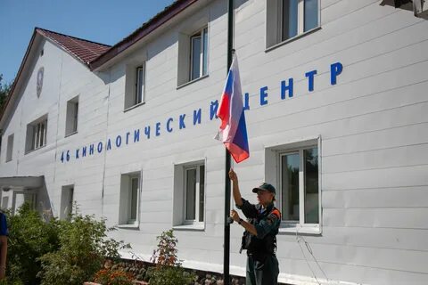 Сц ногинск