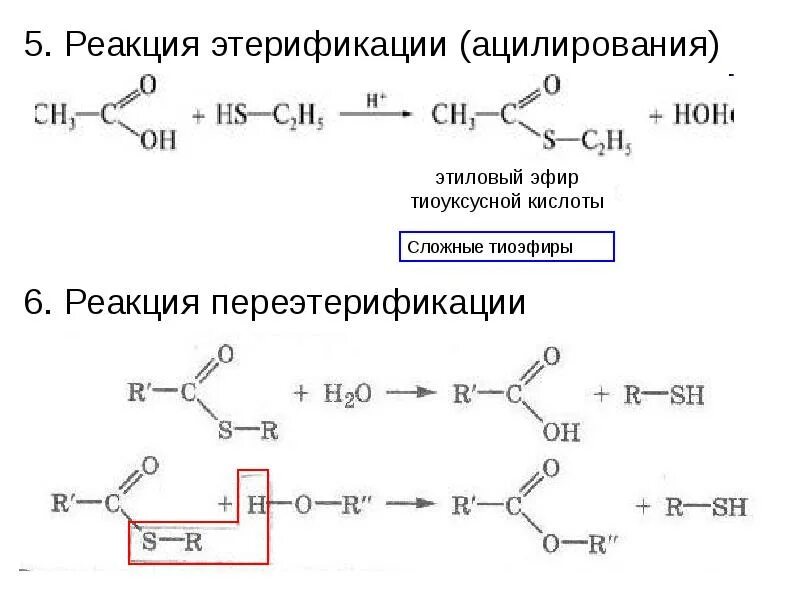 Реакция этерификации тип реакции. Реакция этерификации тип реакции