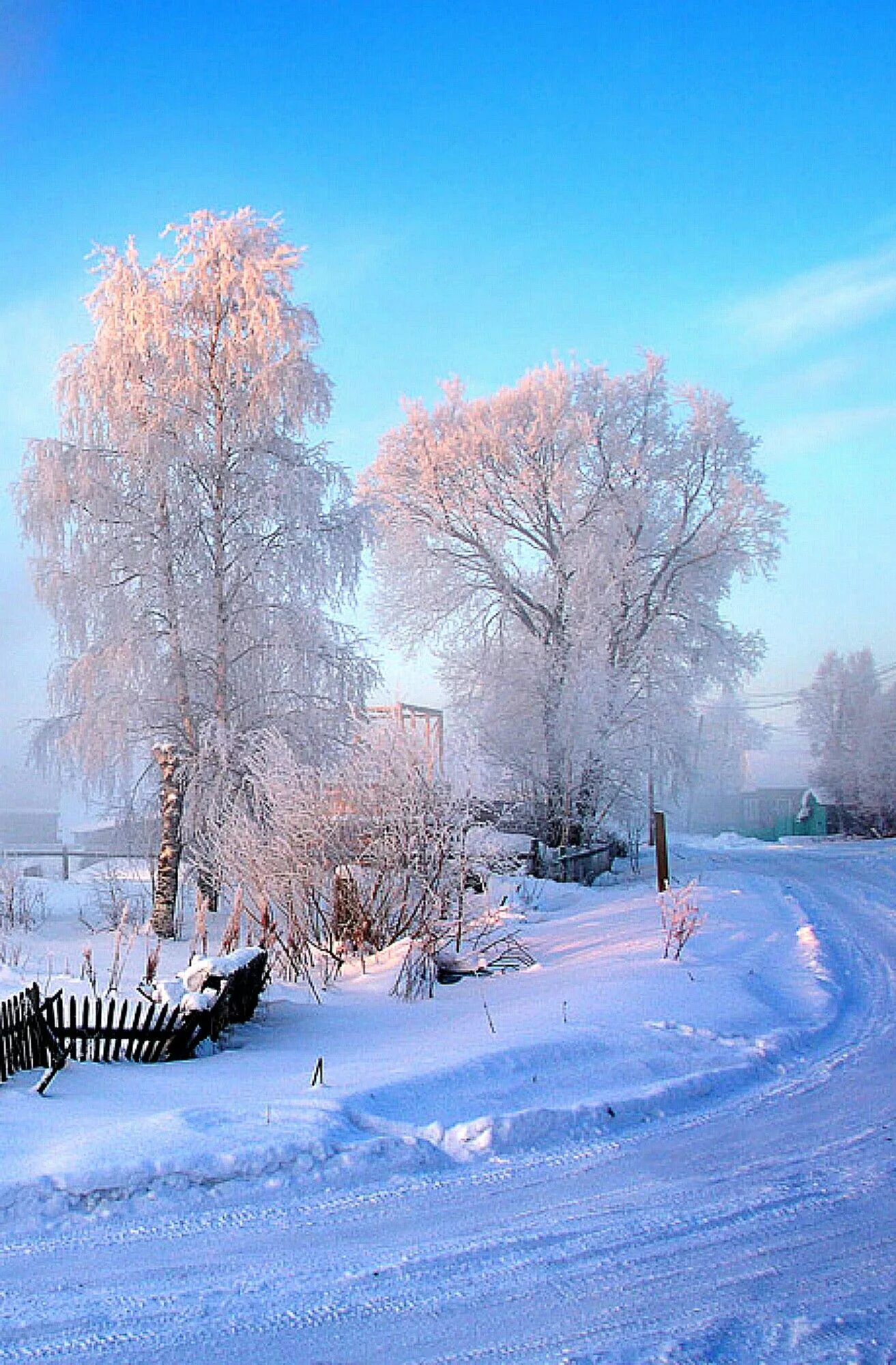 Зимний пейзаж. Красивая зима. Зимнее утро. Зимняя природа.