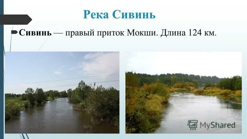 Притоки реки мокша. Презентация на тему река сура. Устье реки мокша. Схема реки цна в тамбовской области. Притоки реки мокша.