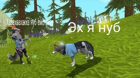 Зайбот вилд