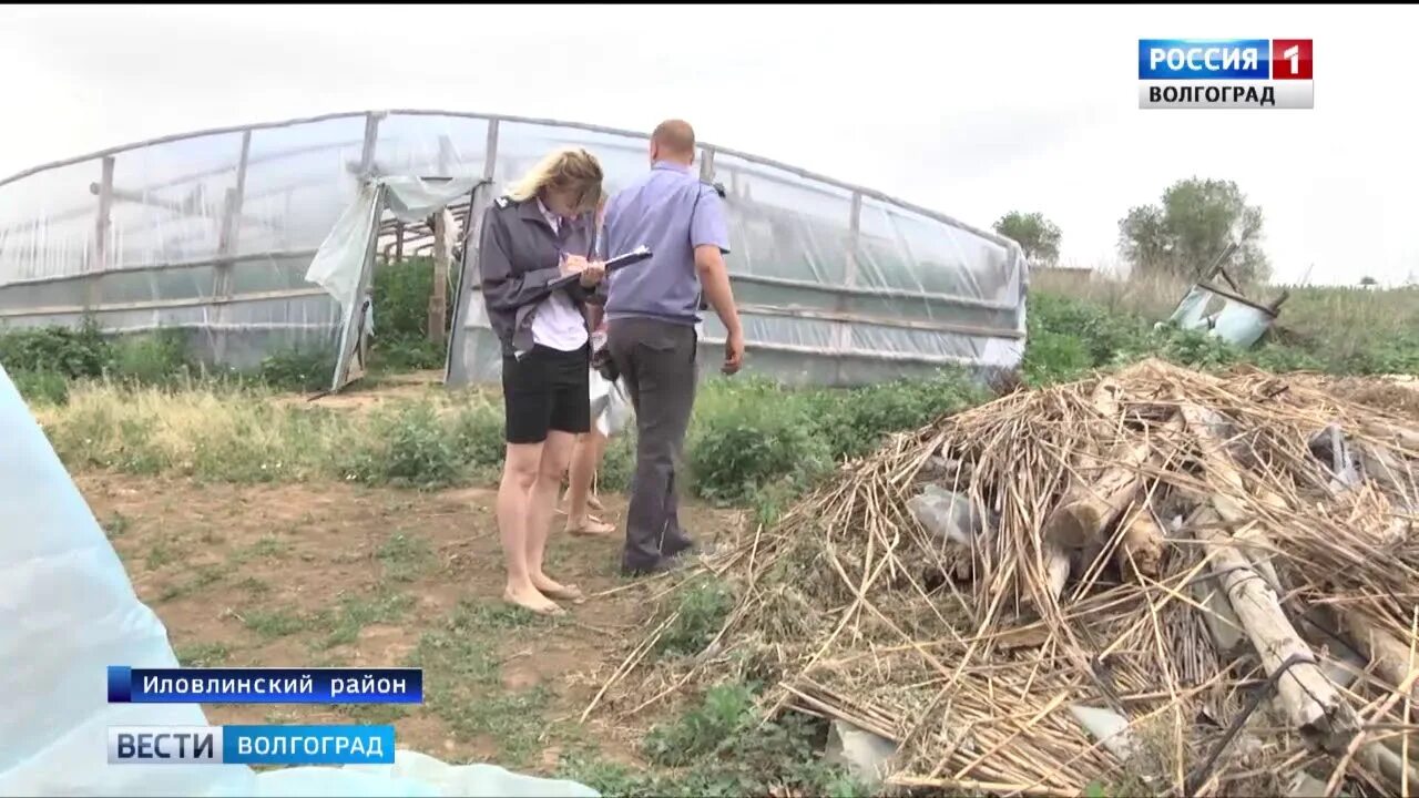 Село Качалино Волгоградской области Иловлинский район. Хутор Медведев Иловлинский район Волгоградская область. Александровка Иловлинский район. Село Александровка Волгоградская область Иловлинский район.