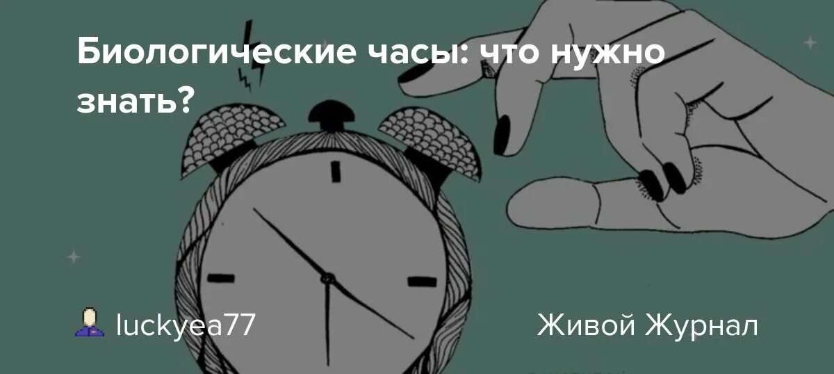 7 28 на часах. Биологические часы. Биологические часы картинки. Биологические часы иллюстрация. 28 Апреля день биологических часов.