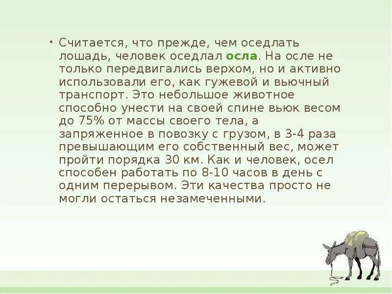 Много тысячелетий назад