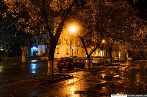 Севастополь золотой