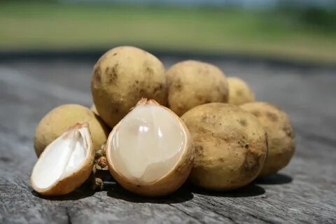 Фрукт похожий на лонган