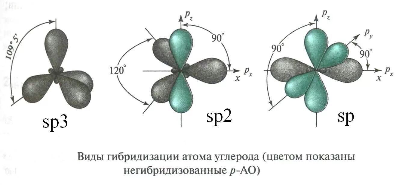 Гибридизация орбиталей атома углерода. Схема sp3 гибридизации углерода. Sp3 гибридизация строение. Типы гибридизации атома углерода. Фенол sp2 гибридизация