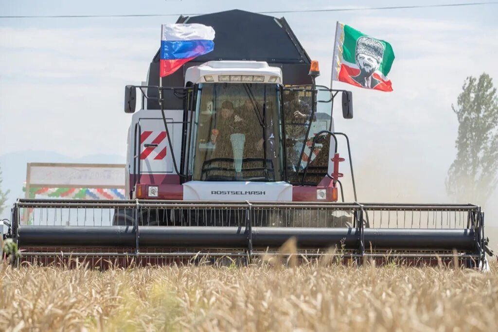 Ооо чеченской республике. Сельское хозяйство Чеченской Республики. Сельское хозяйство Чеченской Республики Растениеводство. Агропромышленный комплекс Чечни. Борзаев сельское хозяйство Чечни.