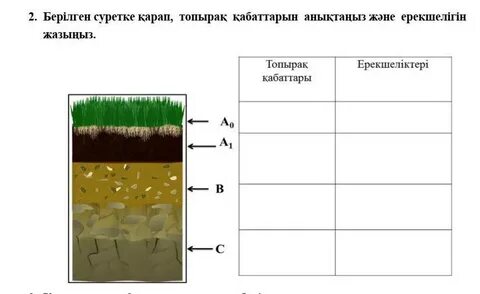 Порно соратын жастардың суреттері