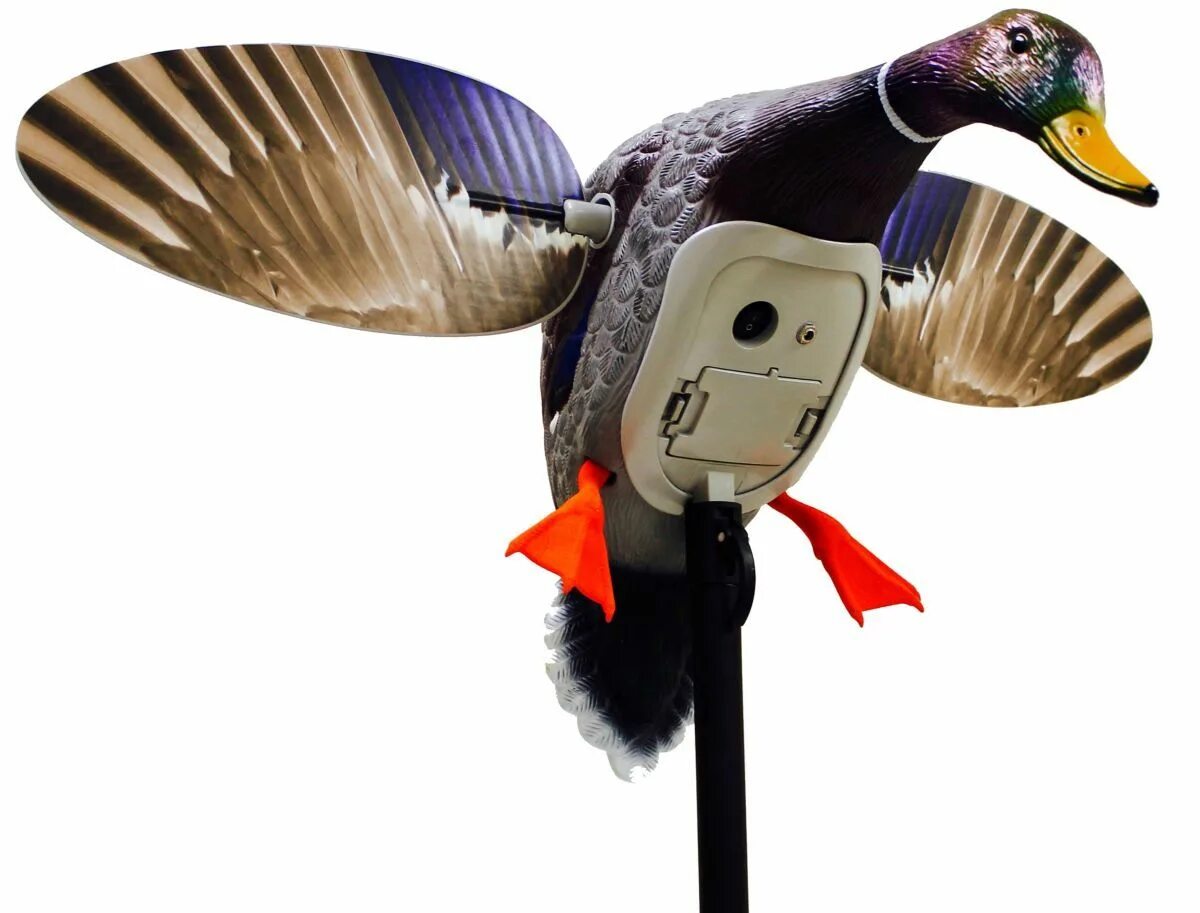 Чучела вяхиря махокрыл. Чучело утки для охоты махокрыл. Чучело утки махокрыл. Механическое чучело утки mojo. Моджо кряква утка махокрыл.