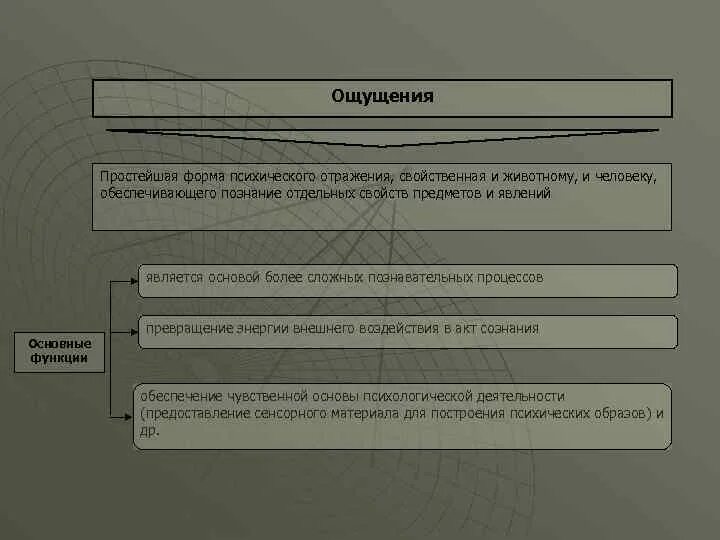 Ощущение форма отражения. Простейшая форма психического отражения.. формы психического отражения присущие человеку. формы психологического отражения присущие человеку. простейшие формы отражения психики.