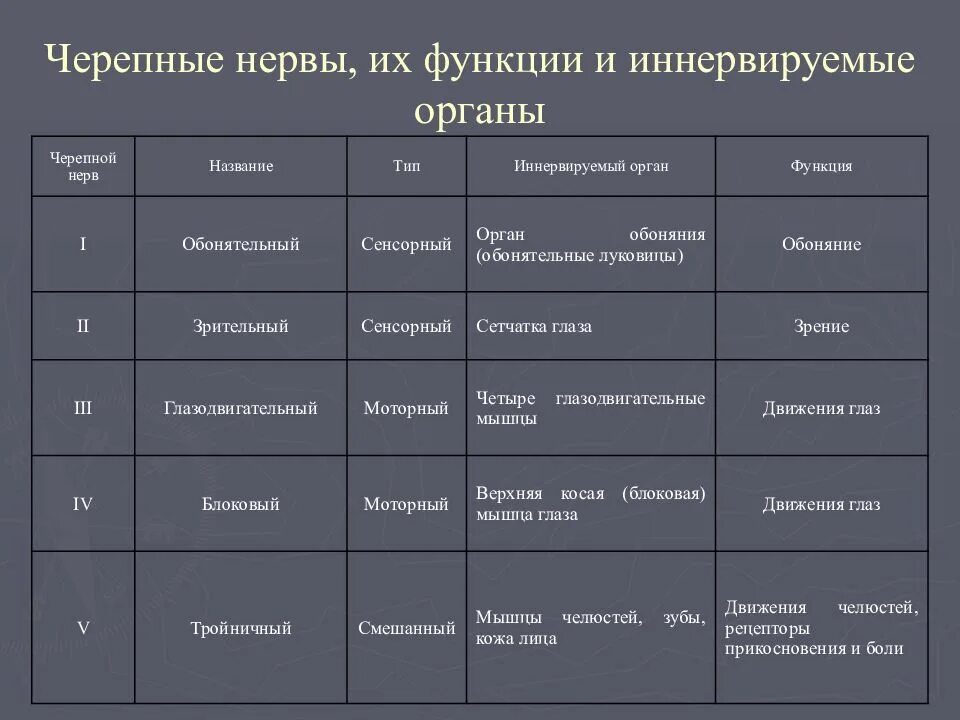 12 пара черепных нервов функции. Название 12 пар черепно-мозговых нервов. функции ядер черепно мозговых нервов таблица. 12 пар черепно-мозговых нервов их функции. функции черепных нервов таблица.