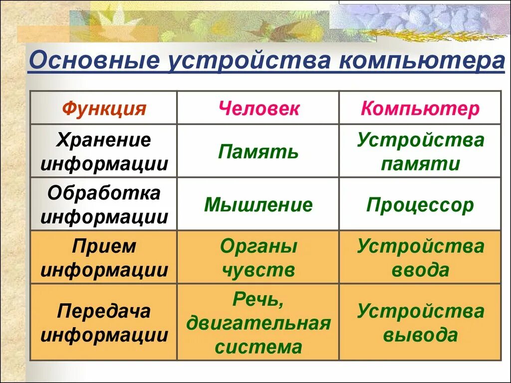 Таблица органы человека информационный процесс устройства компьютера. Функции человек компьютер. человек функции компьютер таблица. функции информации.