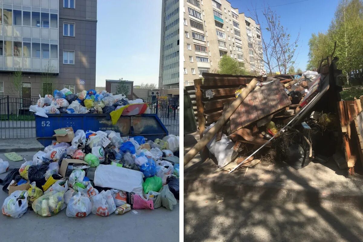 экология мусорные баки новосибирск.