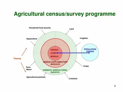 Census Survey