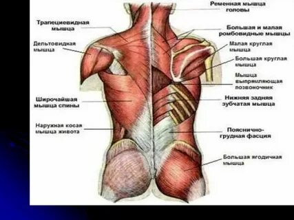 Функции малой круглой