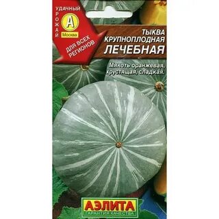 Тыква лечебная