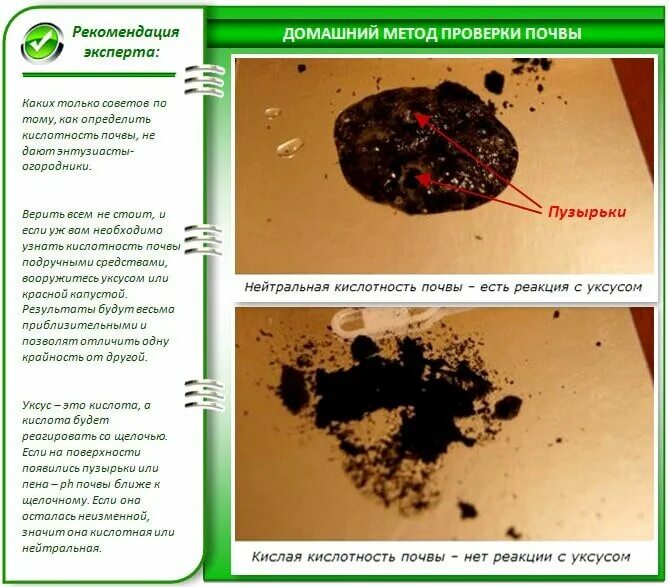 шкала ph почвы кислотности почвы. шкала кислотности почвы. как отличить кислую почву. проверка кислотности. как определить кислотность почвы.