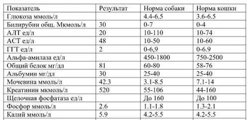 Норма глюкозы у собак