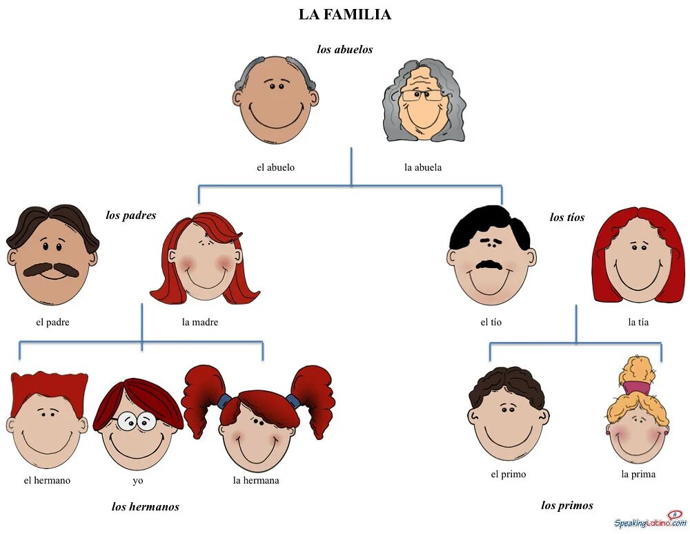 La familia семья vocabulario. La familia по испанскому языку семья. Мама папа на английском языке