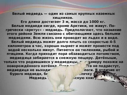 1 класс где живут белые медведи презентация