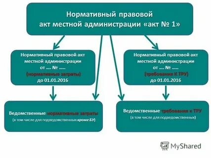 Правовые акты местного уровня