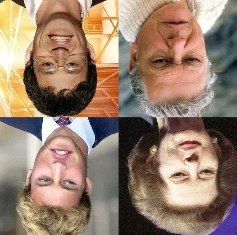 Лицо перевертыш