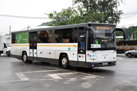 Автобус 447 балашиха москва
