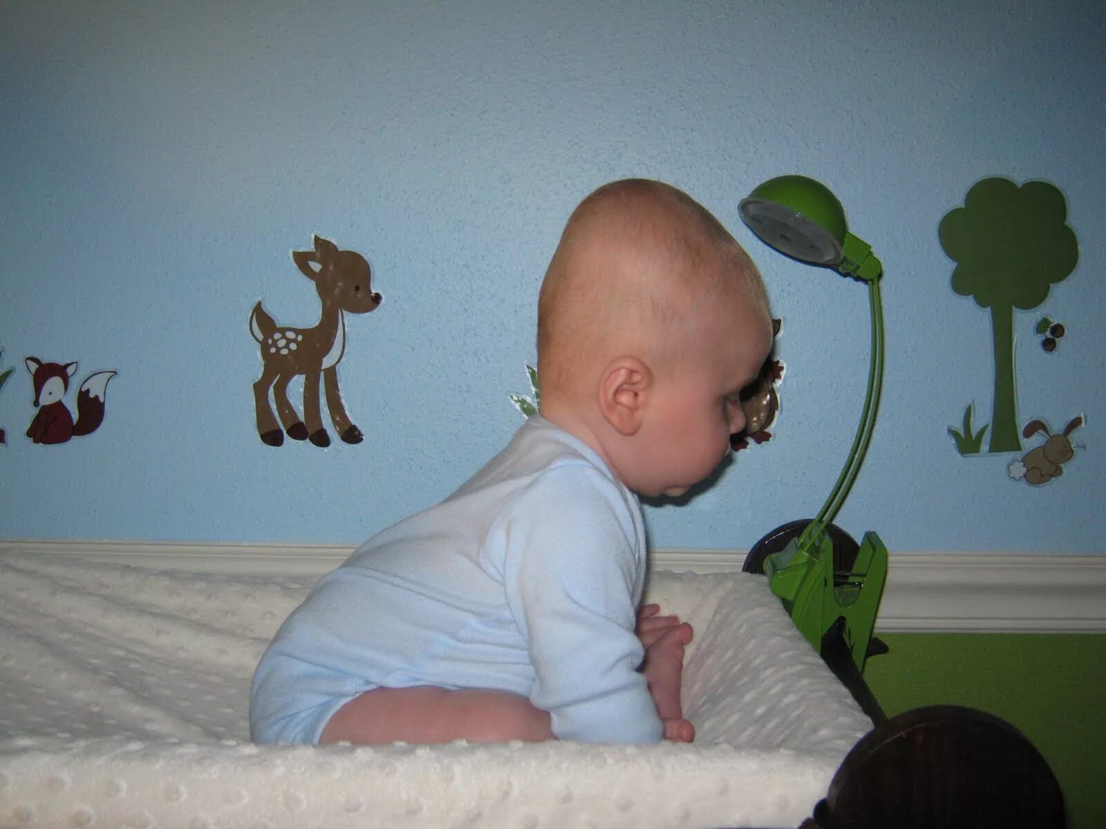 Долихоцефалическая, долихоцефалическая форма головы. Долихоцефалическая форма головы у младенца. : Плагиоцефалия, брахицефалия, долихоцефалия. Вытянутый затылок у ребенка.